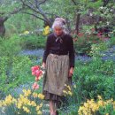 타샤의정원 이미지