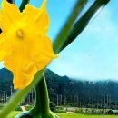 불로초등학교 이미지