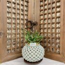 대림팜약국 | 한국 난원 박창규 대표가 전하는 독창적인 경영 노하우