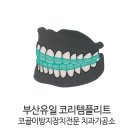 참진치과기공소 이미지