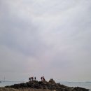 안산-대부-대부-4 이미지