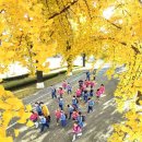 보통교 - 원주시 문막읍 | 보통교