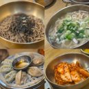진담풍국면현대백화점 | 신촌 현대백화점 풍국면 들기름막국수 닭칼국수 점심식사 추천 내돈내산