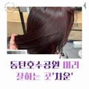 몽몽이 미용실 | [화성/동탄] 동탄호수공원 머리맛집_&#39;차운 동탄호수점&#39; #반려견동반미용실