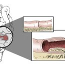 로얄동물메디컬센터w 이미지