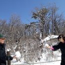 삼양목장 이미지