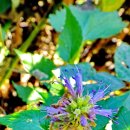 답십리공원 이미지