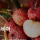 그린에어로빅 이미지