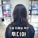 투디아 | 프리미엄 펌에 진심이 느껴졌던 오송미용실 찐 후기