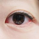 라보떼래쉬 | 건대 속눈썹 펌 라보떼래쉬 후기