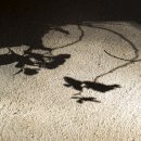 사인암풍경민박 이미지