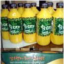 보타니엘 Daum카페