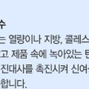 석수와퓨리스