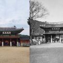 신풍교2 이미지