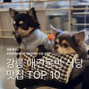 경포대보헤미안 | 강릉 애견동반 식당 맛집 TOP 10
