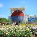 올림픽공원 장미축제 장미광장 들꽃마루 이미지