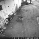 콩콩설기 이미지