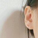H0113 이미지