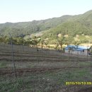 느티나무농장 이미지