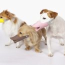 머즐(Muzzle) 이미지