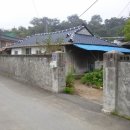 송도열 네이버블로그