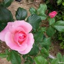 행복한 농원 이미지