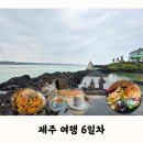표선면 표선리 777-10 | 제주 여행 6일차 | 가시아방국수, 커피박물관Baum 모카포트체험, 표선해수욕장, 88버거