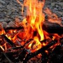 모닥불 이미지