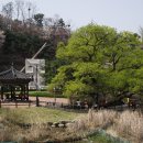 보라매공원 이미지