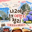 나고야 초보 여행지 정리｜공항에서 시내 가는 법과 꼭 가볼 곳