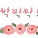 컴퓨레이터