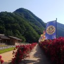 단양군시티투어 이미지