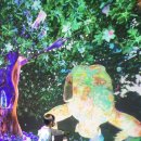 나눔터다방 | 눈의 소중함을 새삼 깨닫고 있는 하루하루ㅠ_ㅠ11월 셋째주 이야기를 담은 주간일기