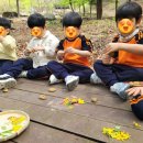 봉화산 유아숲체험원 이미지