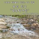 청와가든 | 가야 냉수탕가든 계곡뷰 야외 좌석 예약 및 오리백숙 포장