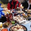 사니조아 이미지