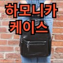 (온라인)하모니카 | 트레몰로 하모니카 8개,12개 수납 가방 추천 – 톰보 케이스 사용 후기