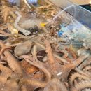 (주)부전수산 이미지