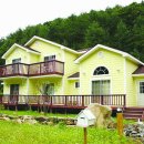 펜션비우고채우는숲 이미지