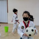 경희대정우태권도장 이미지