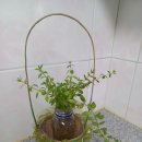 사하구-75 이미지