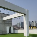 카르펫디엠 강아지유치원 이미지