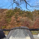 전주오토 | 전주 근교 벌곡오토캠핑장 후기!감성캠핑