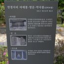 안정사터 마애불 명문 약사불 이미지