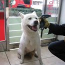 김정복 동물병원 이미지