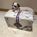 도포원예정보화마을 | (도포원예정보화마을)달콤한 도포황토멜론 추천(4kg)영암몰
