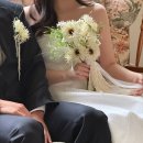 달래헤어 | 웨딩스냅 헬퍼·헤어변형·아이폰스냅 후기ㅣ 부산 달래줄래 내돈내산 후기