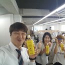 머트리 | 머트리레몬머틀허브티체험단후기