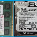 운동센터+1℃ 이미지