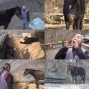 광덕농장 이미지